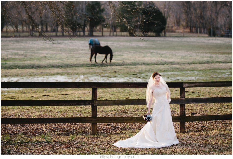 Bridal Portrait in Tanglewood Park in Clemons NC