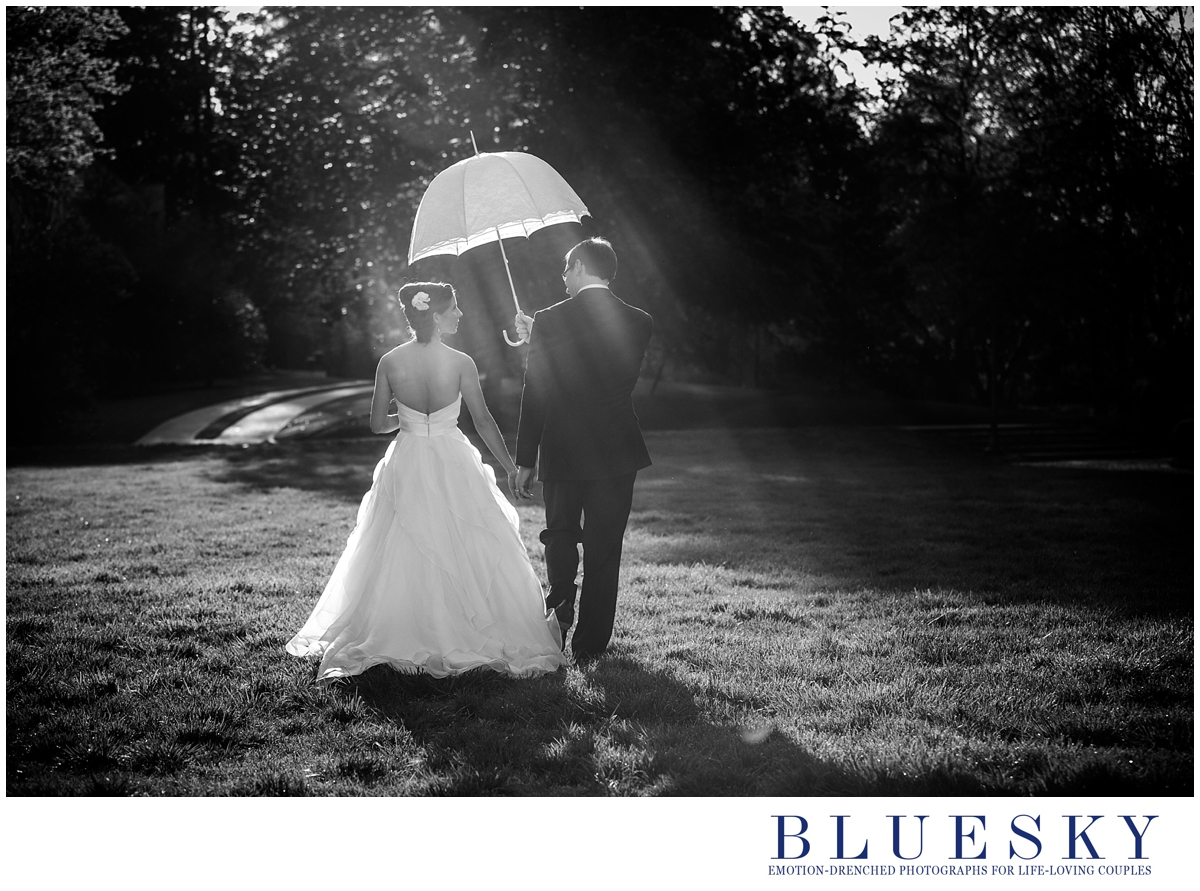 bride with parasol and sunflare