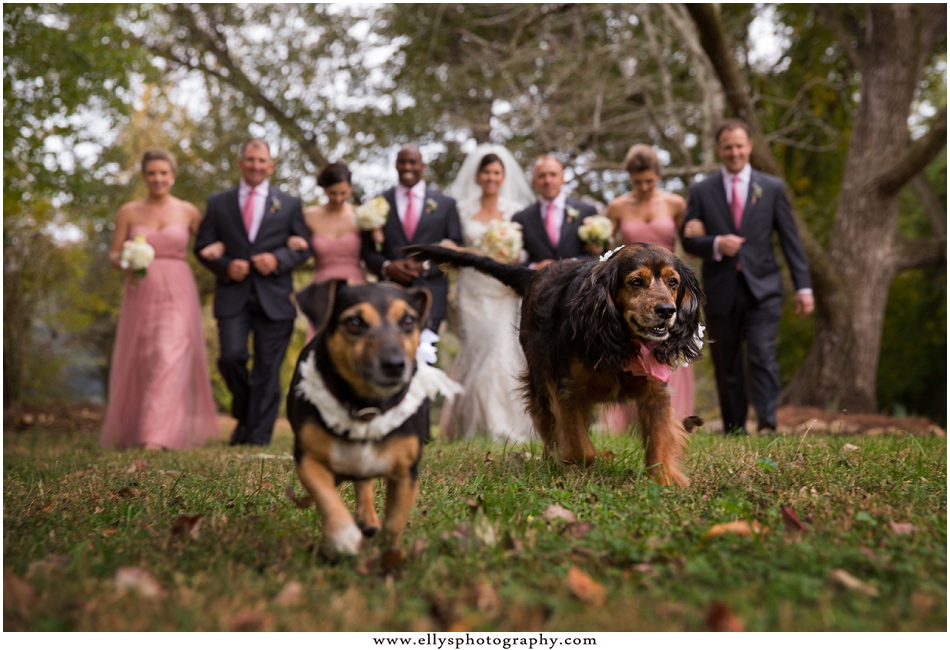 Andrea Leatherman and Buck Davidson Jr. Wedding at Tirzah Farms at her childhood home in South Carolina