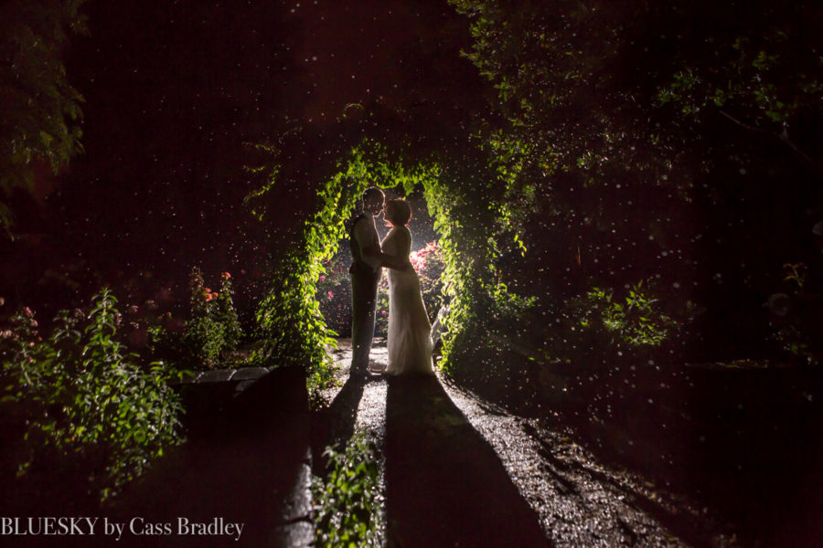 night back lit wedding image in garden