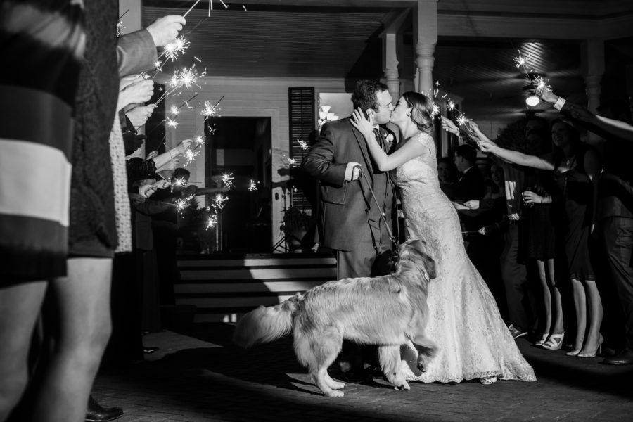 bride and groom with dog wedding departure 
