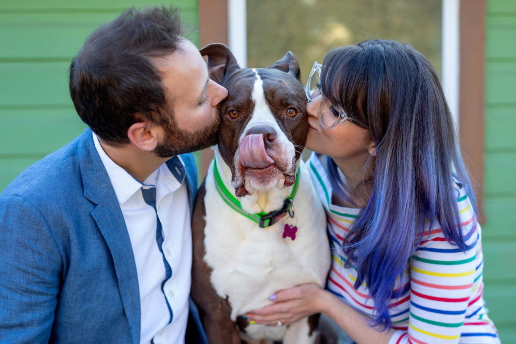 Fun engagement photos with their dog