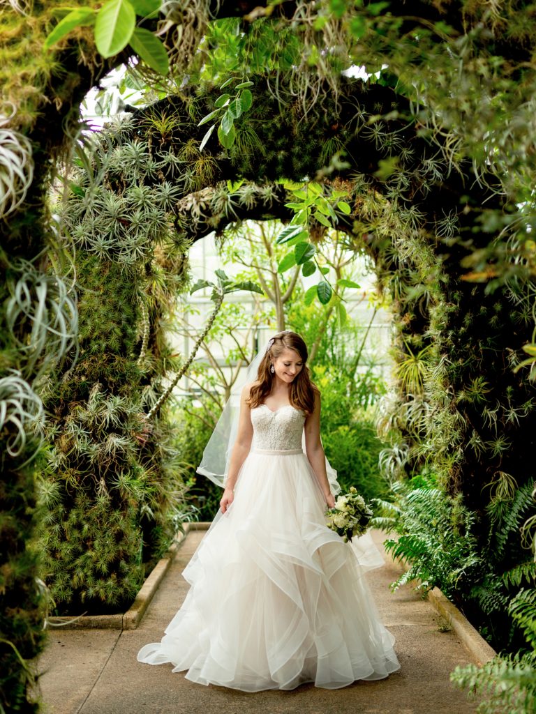 Daniel Stowe Botanical Gardens bridal portrait in the Orchid Conservatory. Greenhouse and garden weddings