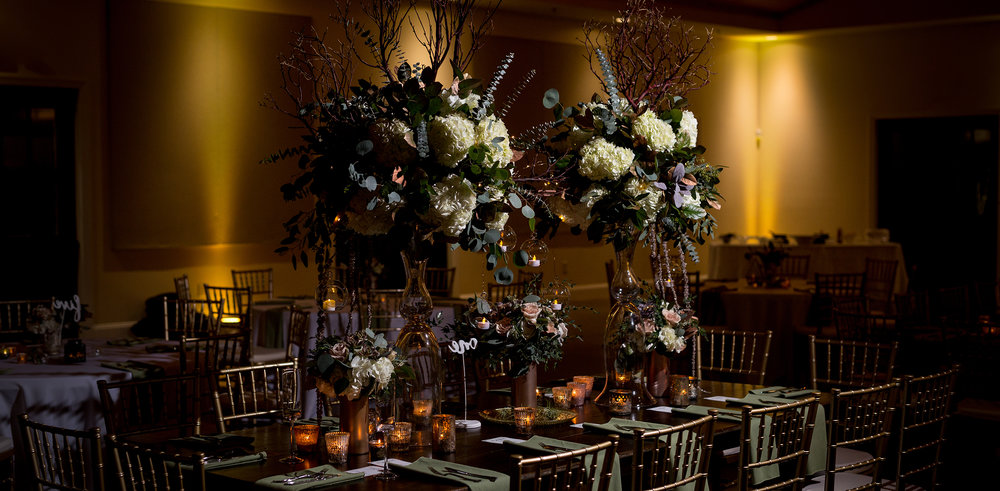 Click here to view the best wedding planners in Charlotte and Asheville